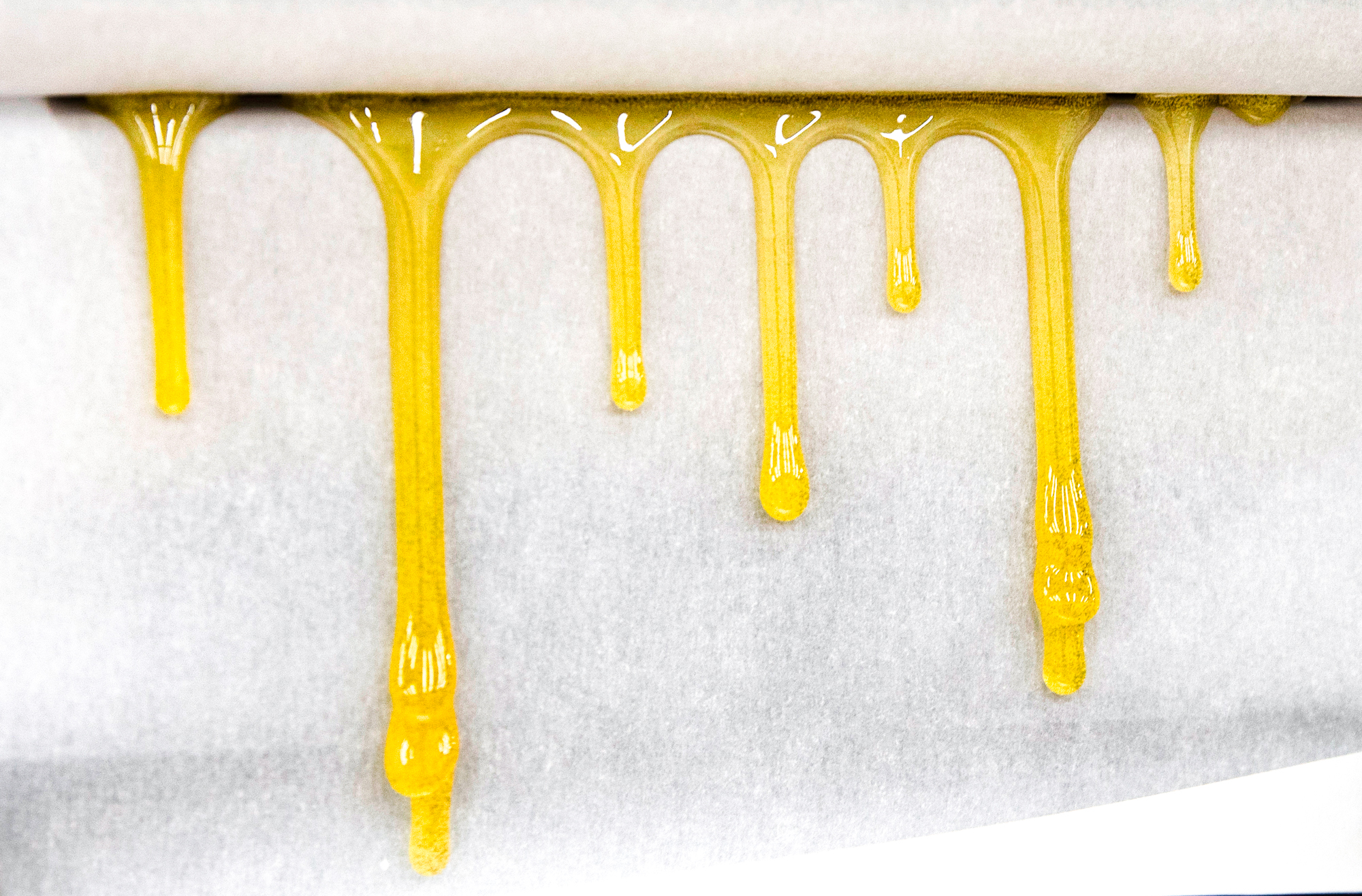 A Rosin Tech press in operation